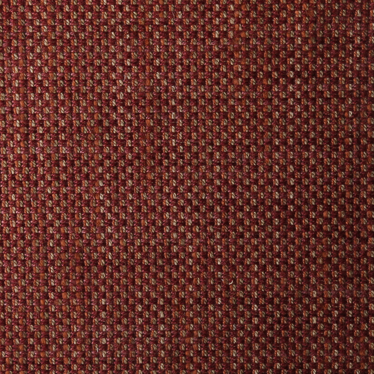 Mayfair Coral