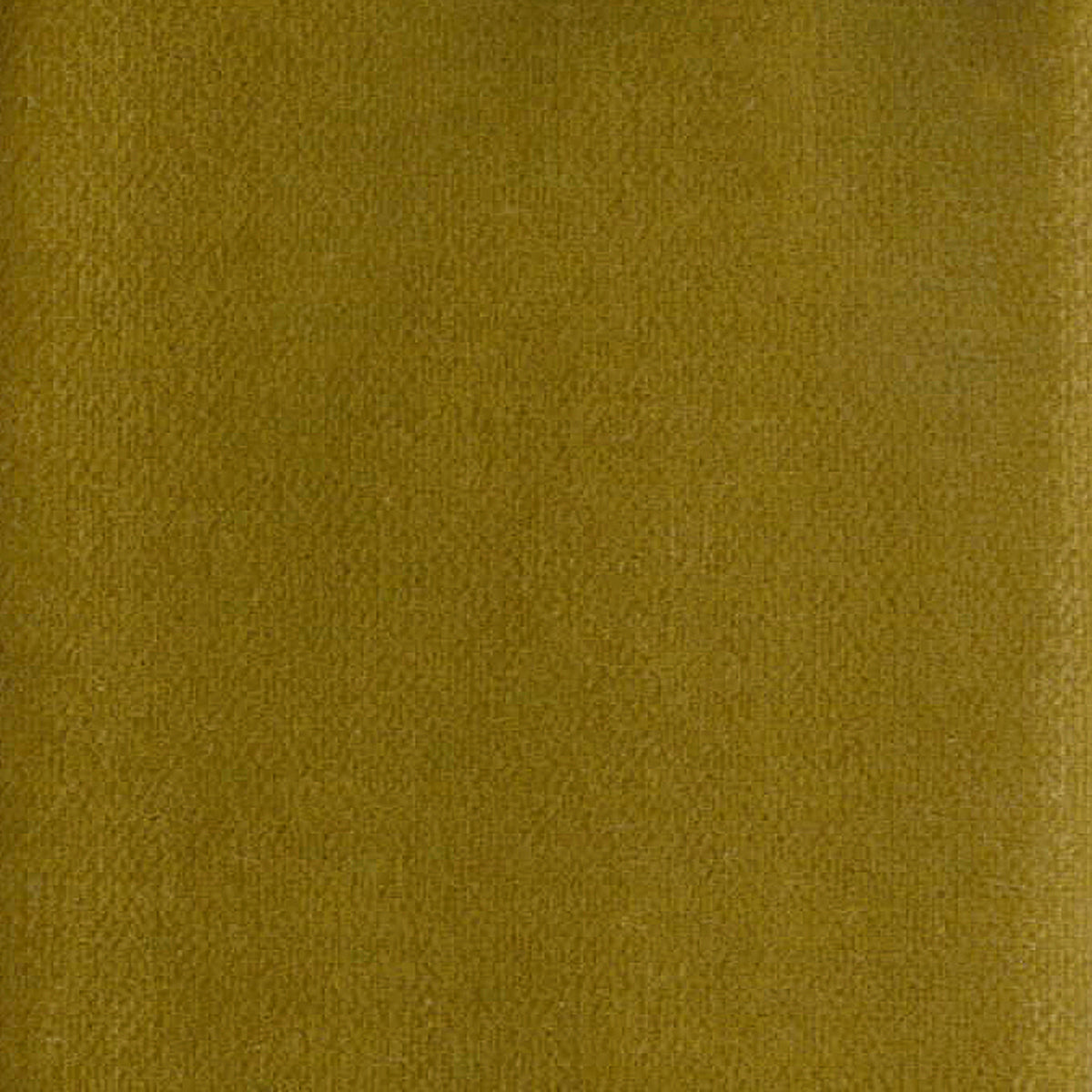 Verona Mustard