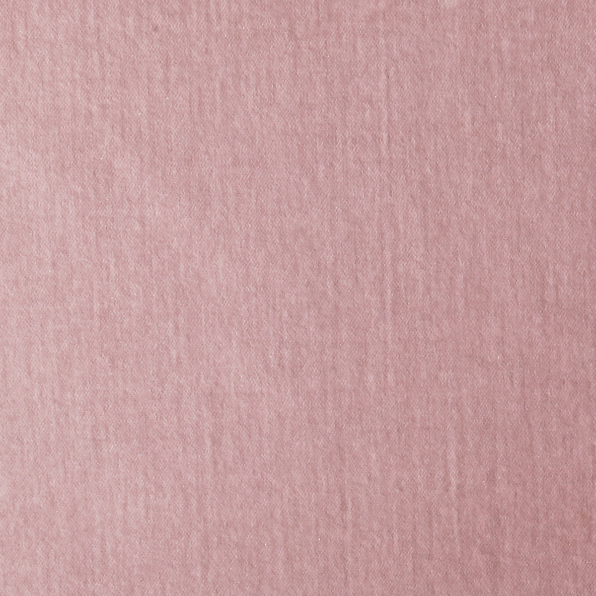 Verona Blush