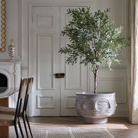 Dora Maar Planter - styled view