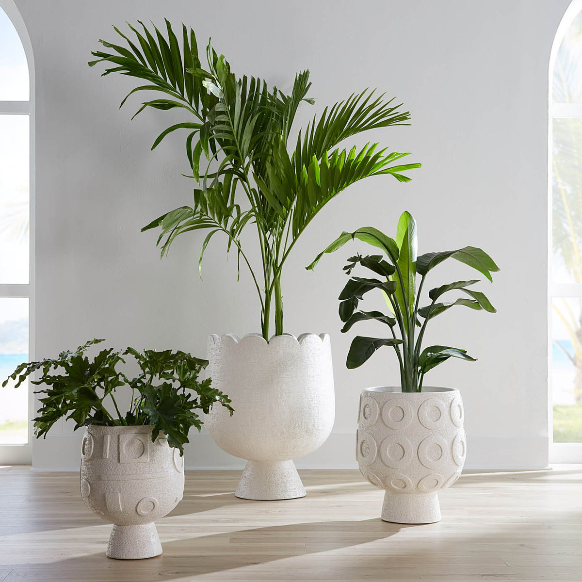Osaka Disc Concrete Planter - styled view