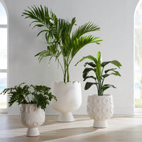 Osaka Disc Concrete Planter - styled view