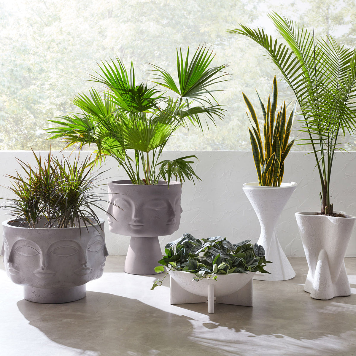 Dora Maar Planter Low - summer shot