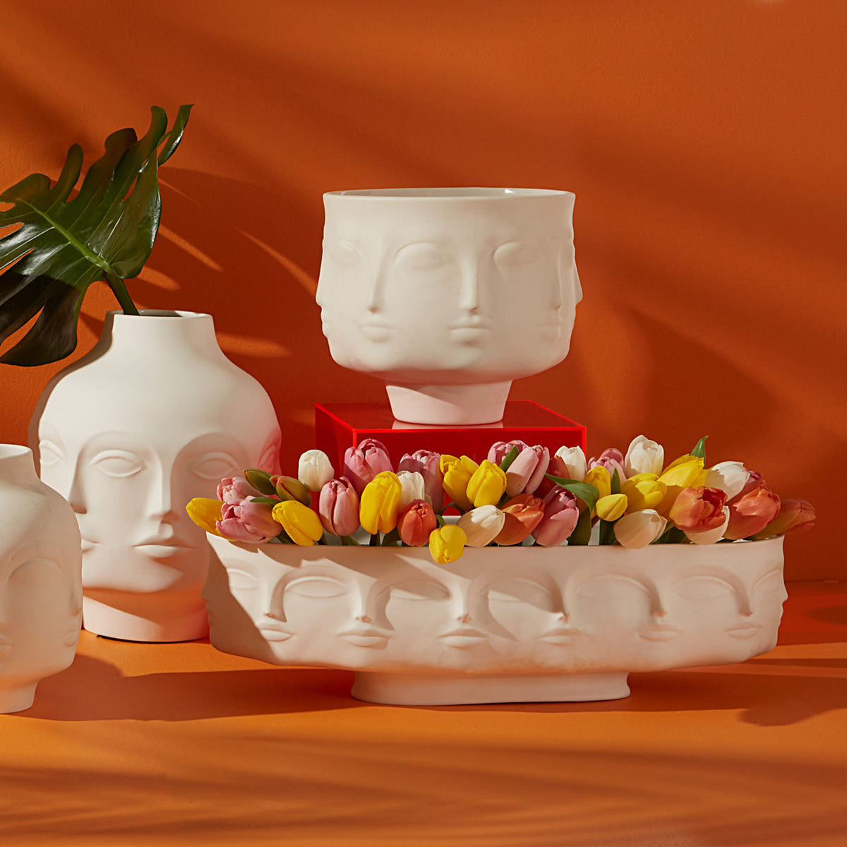 Dora Maar Long Bowl - group shot