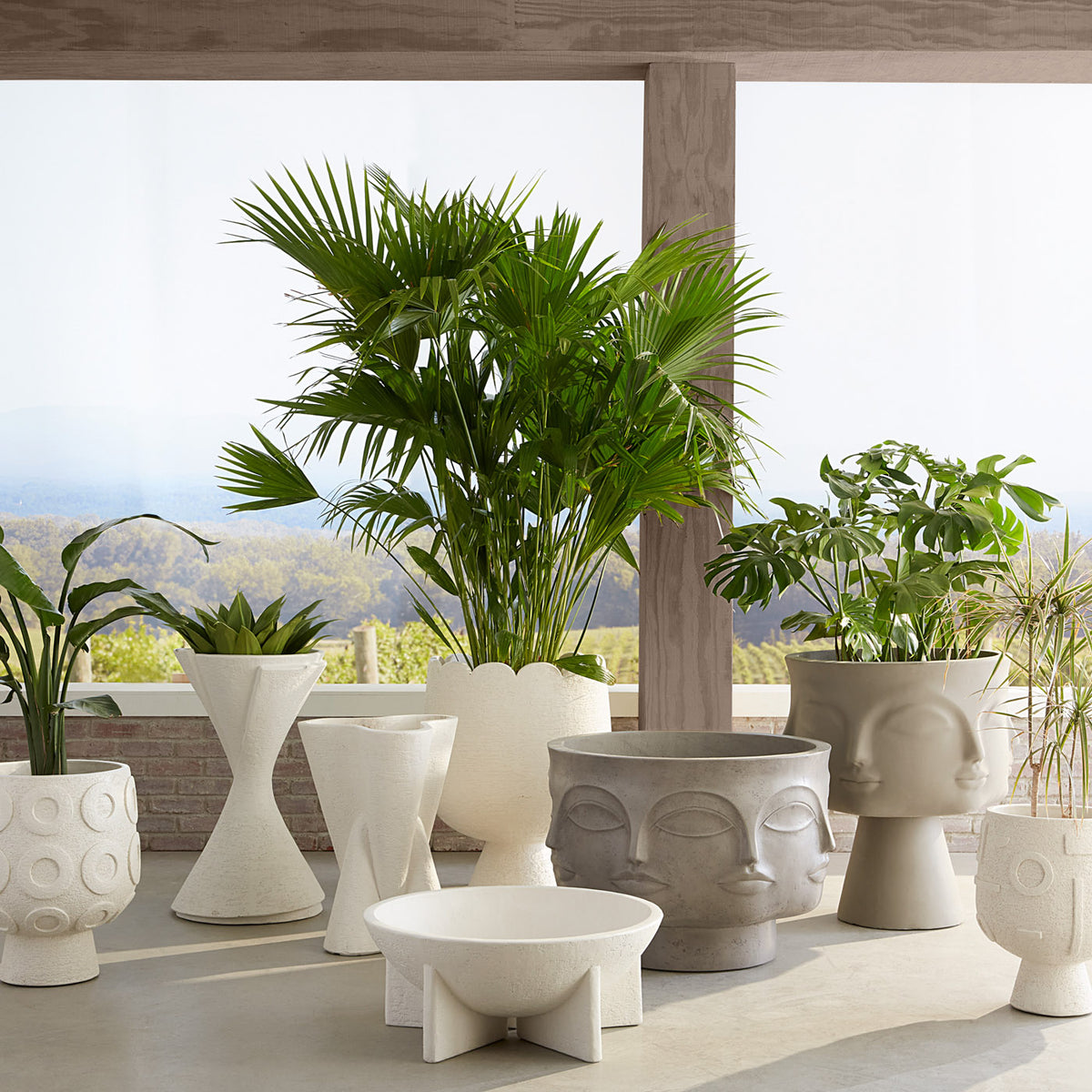 Osaka Disc Concrete Planter - summer shot