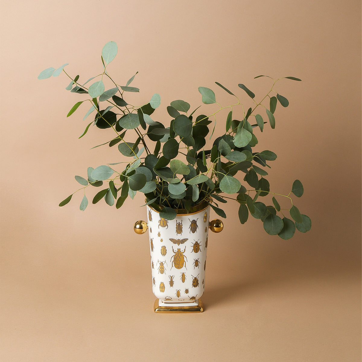 botanist specimen vase with eucalyptus - styled view