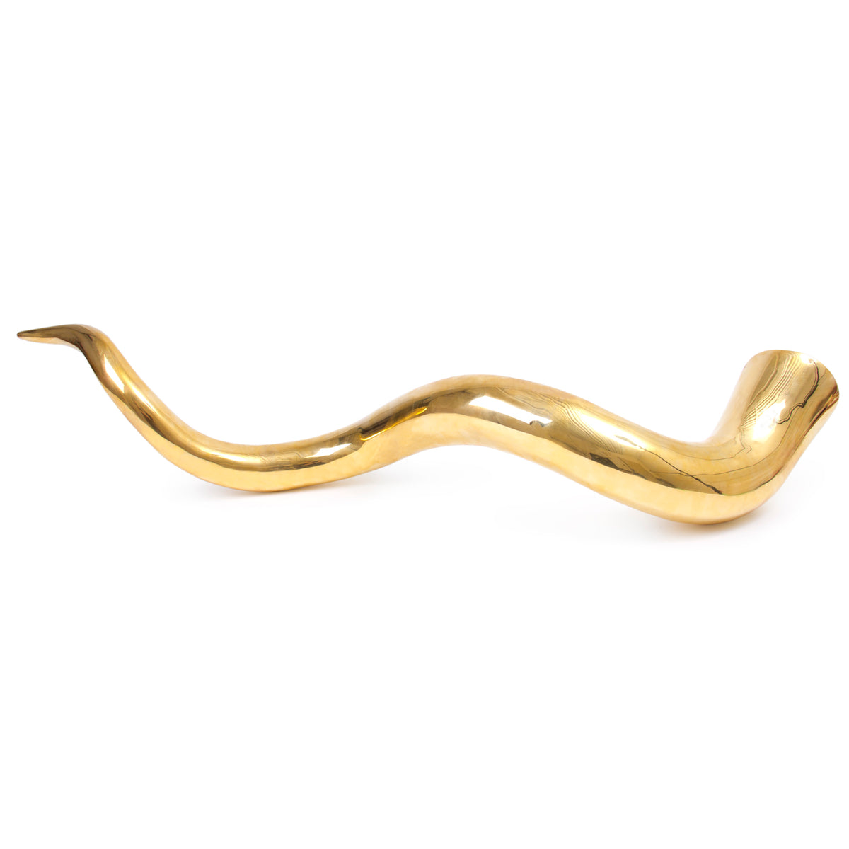 brass horn giant - front view