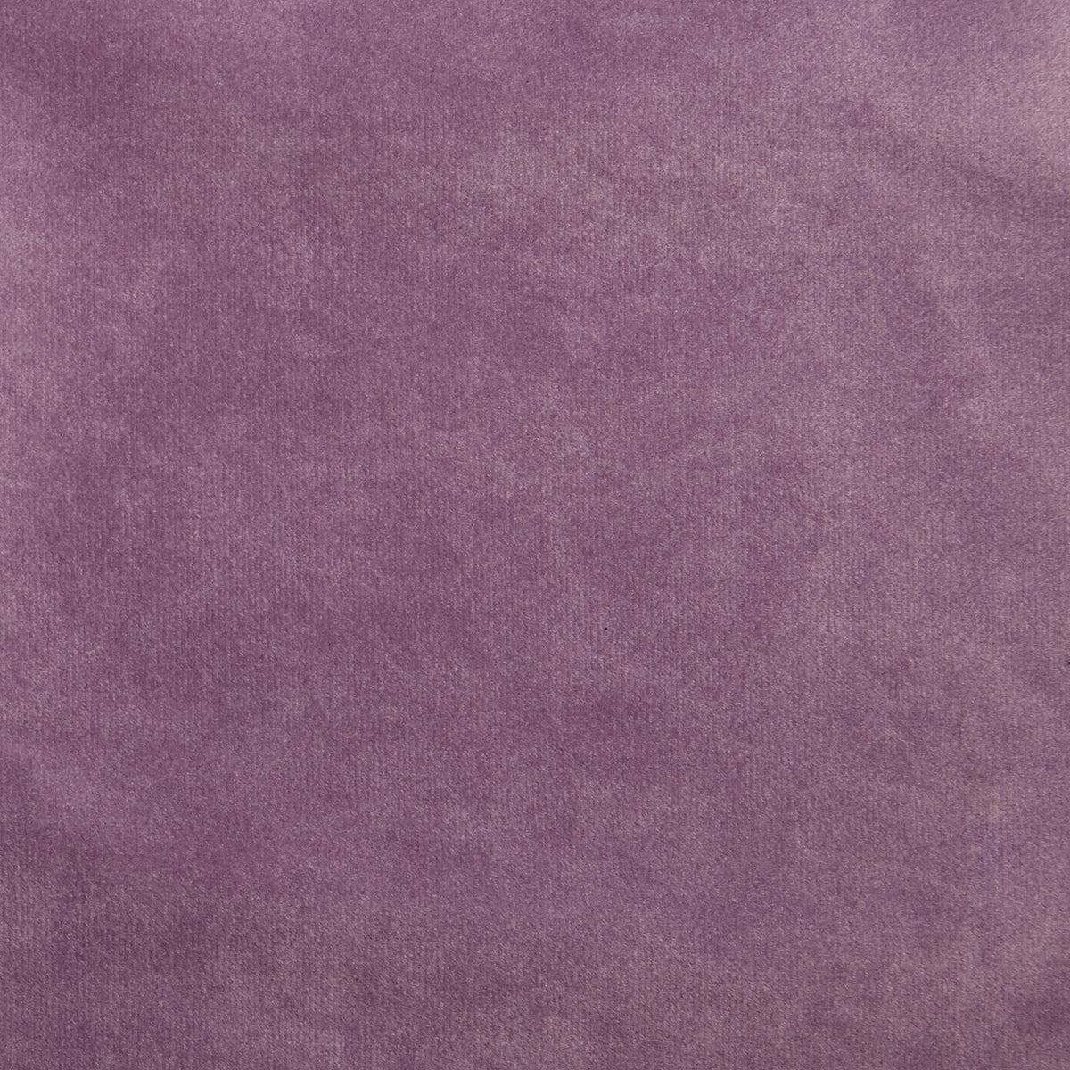 Firenze Amethyst