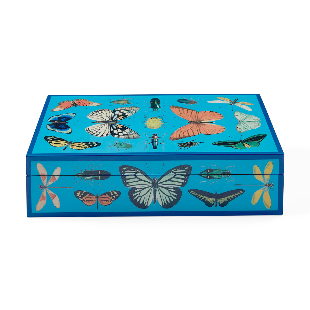 large botanist lacquer box blue - front view