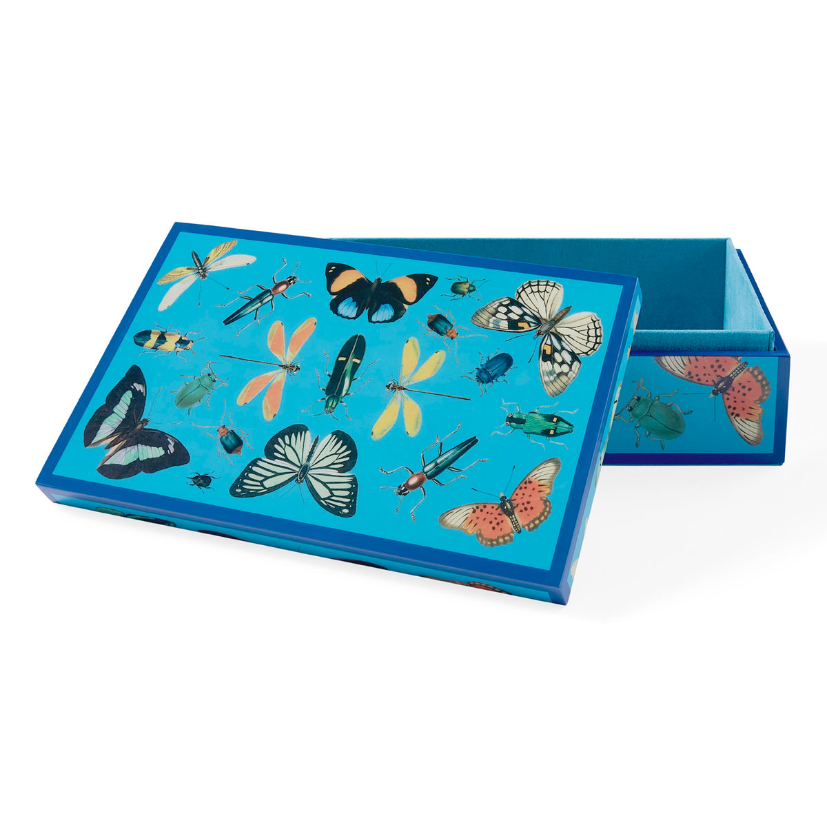 medium botanist lacquer box blue open - front view