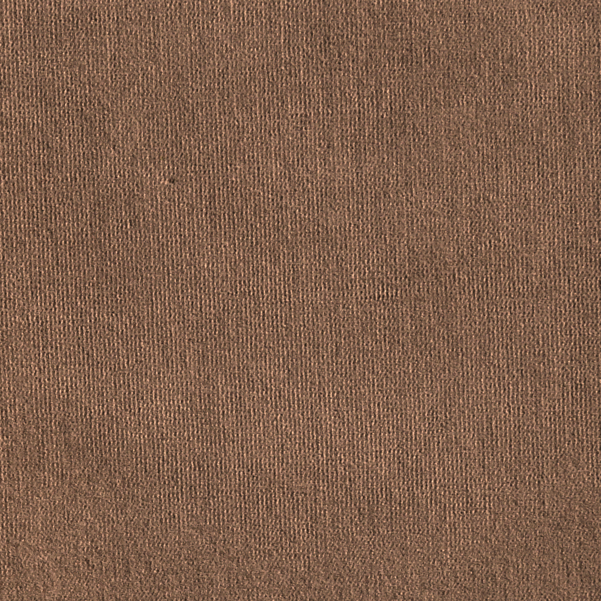 Verona Camel