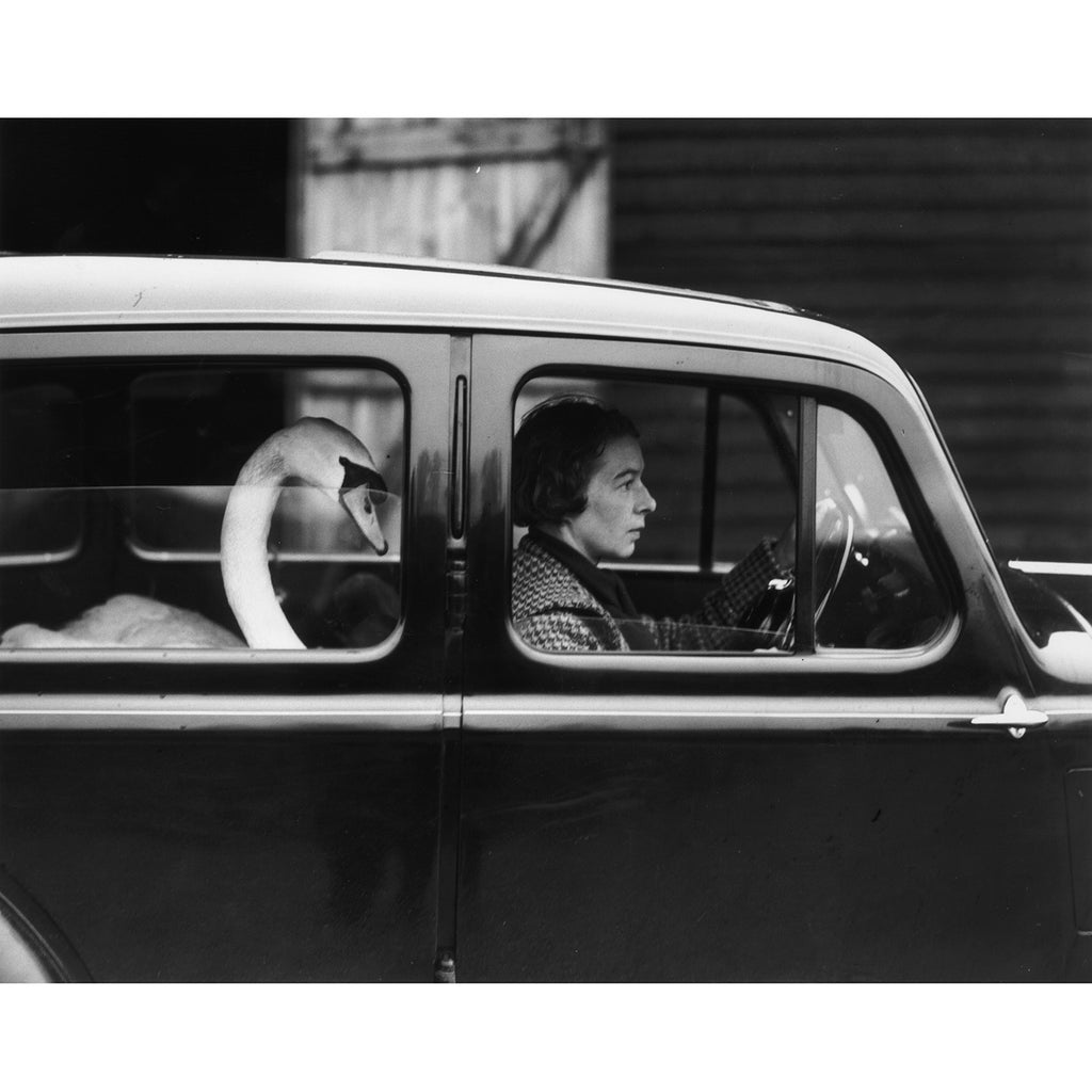 "Swan Car" Getty Images