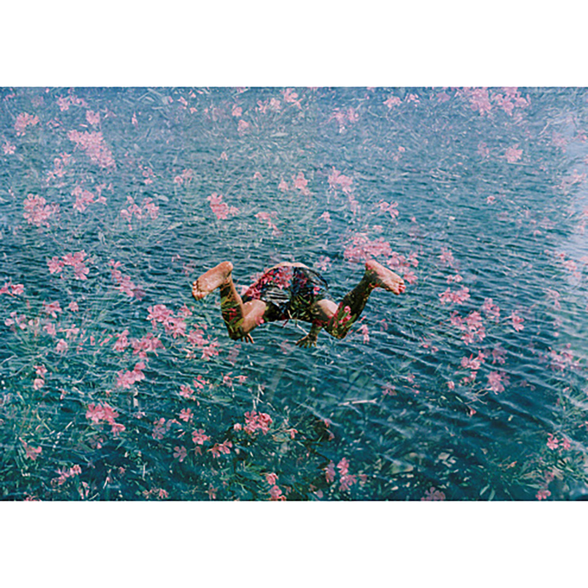 "diving into pink flowers" from getty images - front view